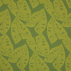69008-0005 Radiant Kiwi